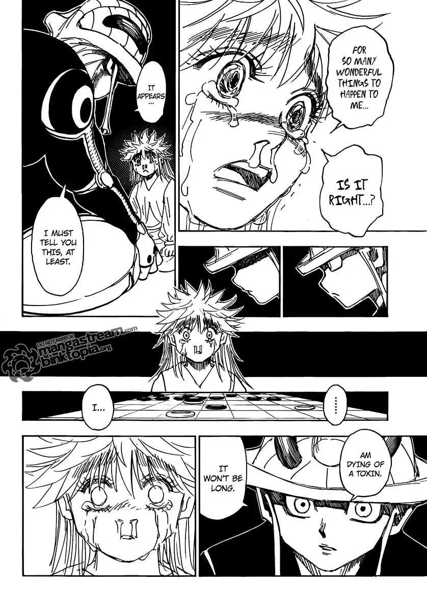 Hunter x Hunter Chapter 317 16